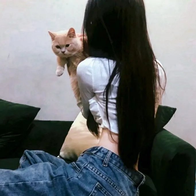 借刀杀人计中计