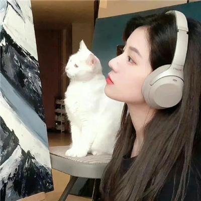 寻狗启事
